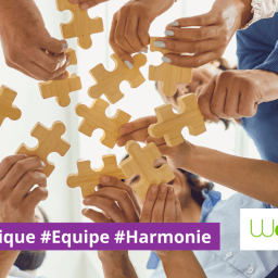 Les relations au travail : comment créer une dynamique d’équipe harmonieuse ?
